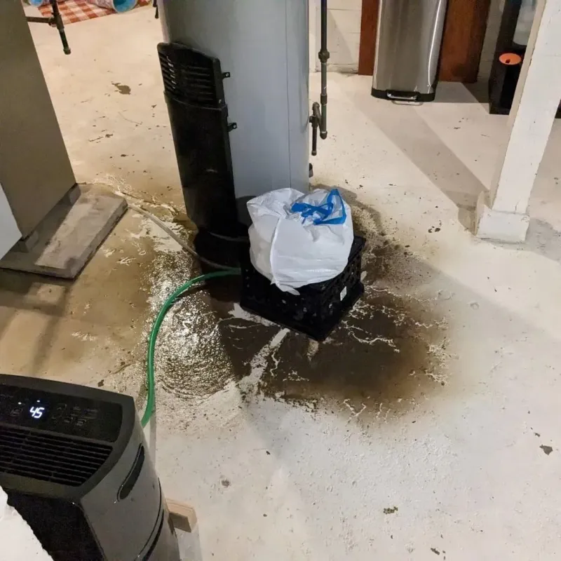Sewage Backup Cleanup Service in Dilley, TX